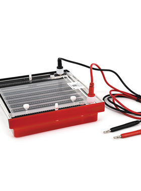 北京六一DYCP-44P型快速凝胶电泳仪