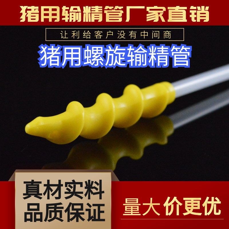 猪用螺旋输精管人工授一