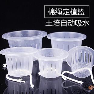 水培网篮花盆定植植物玻璃花瓶绿萝定植无土栽花卉浅型固根器
