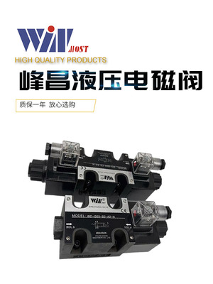 WINMOST峰昌电磁阀WD-G03-C2-A2-N D2 C3 C4 B2S B3 D2 C10 C9 A