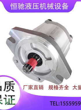 CBD系列 齿轮油泵9齿花健 CBD-F308 L20S1 CBD-F310 L20S1