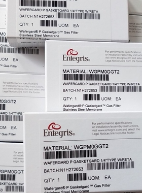美国Entegris英特格过滤器WGPMOGGT2，全新原装