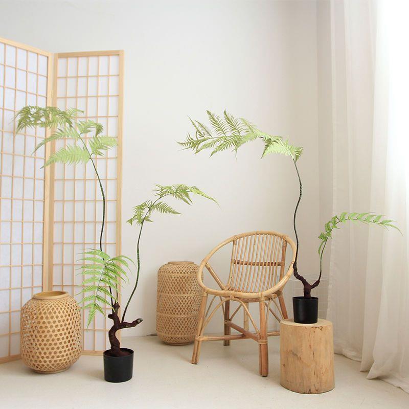 摆件绿植仿真造景橱窗蕨