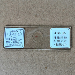纤维结缔组织切片(腱纵切)43505 生物显微镜玻片涂片 浪花牌
