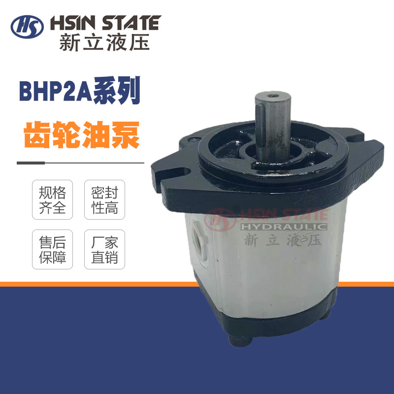 齿轮泵BHP2A0D16C0L1/D1O/D12/D14/D18/D20/D22/D25/D28/D30C0L1
