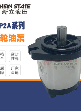 齿轮泵BHP2A0D16C0L1/D1O/D12/D14/D18/D20/D22/D25/D28/D30C0L1