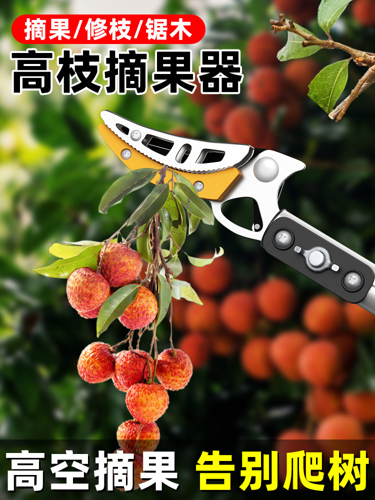 摘枇杷剪刀摘果神器伸缩荔枝高空水果加长采摘器樱桃高枝剪槐花杆