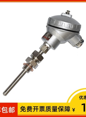 上海仪表 pt100温度传感器 wzpk2 331 L=5*2500mm 0~230℃ M27X2