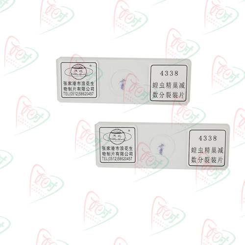 优质加厚高清蝗虫精巢减