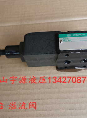 RV-02G RV-02T DG-02 DT-02 溢流阀 液压机调压阀 ASHON压力阀