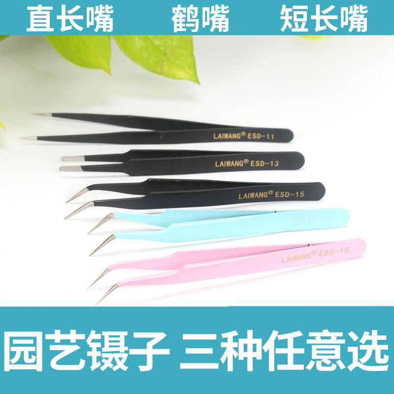 多肉开花专用镊子高精度专业园艺工具防静电鹤嘴镊子弯头夹镊子,3C数码配件,USB多功能数码宝,淘宝优惠券,粉丝福利购,淘宝优惠卷