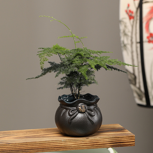 创意福袋陶瓷文竹菖蒲苔藓球水培专用阳台办公室花瓶摆件客厅插花