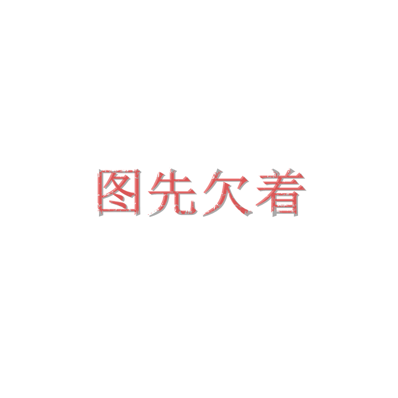 磁偶式无杆气缸带缓冲器