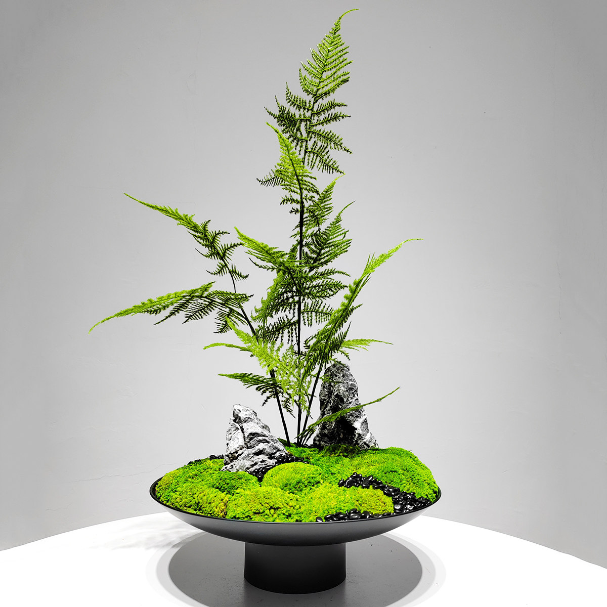 中式铁艺花器仿真文竹永生青苔盆栽书房茶室微景观玄关柜软装摆件