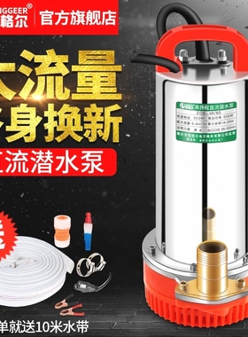 德国进口12V直流潜水泵24V48V60V伏电动车抽水机农用小型抽水泵电