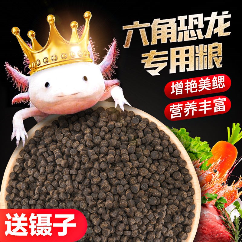 六角恐龙鱼饲料食高蛋白