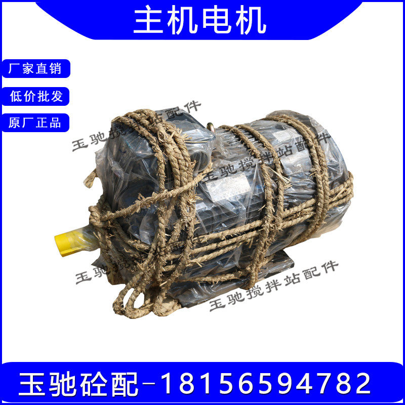三一/中联/仕高玛搅拌主机电机2方/3方搅拌机电机45KW/55KW电动机