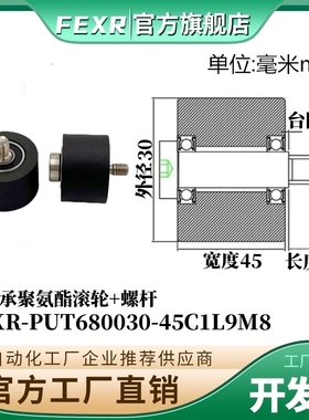 带螺杆聚氨酯双轴承滚轮PUT680030-45C1L9M8锂电池输送带悬臂滑轮