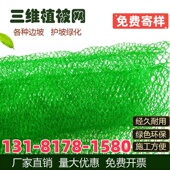 三维植被网垫植草坪固土网生态园林厂家绿化土工护坡公路高速边坡