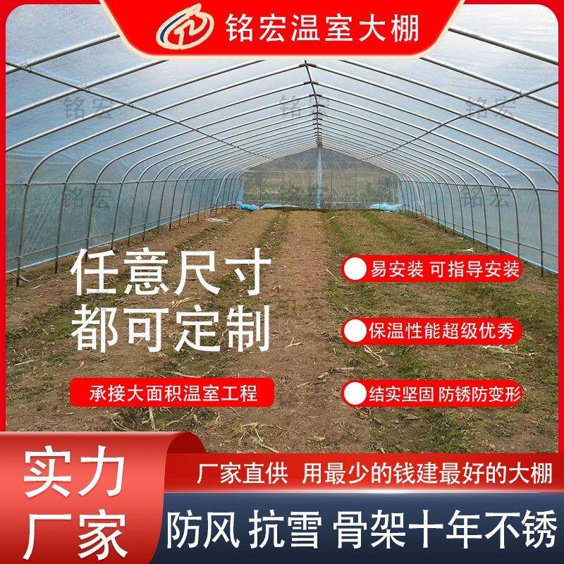 温室大棚种植蔬菜棚花卉棚养殖猪牛羊管椭圆鸡棚定制骨架钢管全套
