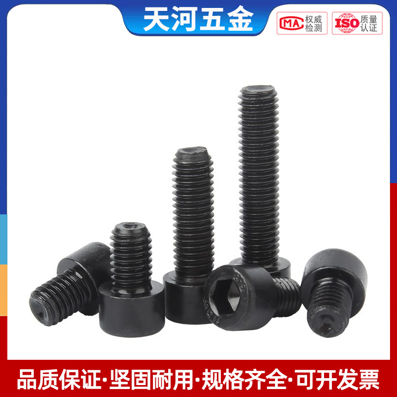 级圆柱头内六角螺丝钉杯