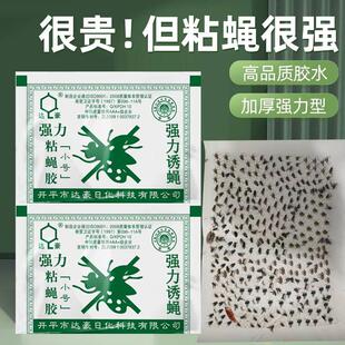 达豪苍蝇贴强力粘苍蝇纸粘蝇板一扫光灭蝇神器蚊子克星捕捉器家用