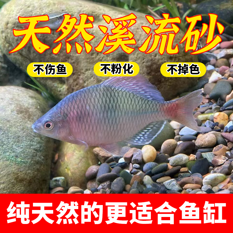 原生态溪流石天然鱼缸底