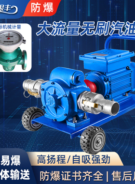 12V24V220V大流量防爆泵电瓶无刷电机静音抽油泵汽油柴油自吸抽油