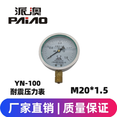 派澳仪表YN100 1.6MPa耐震压力表径向抗震充油油压水压气压