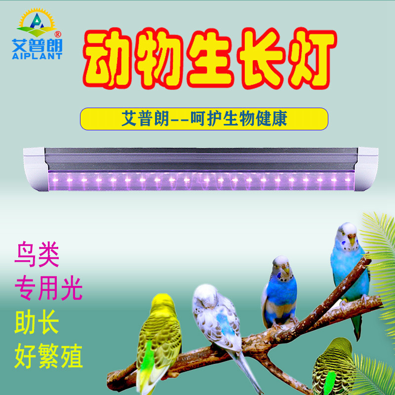 艾普朗牌全光谱动物生长灯宠物鸡鸟鹦鹉鸽子繁殖龟昆虫养殖补光灯,清洗/食品/商业设备,风口/风叶/风机配件,淘宝优惠券,粉丝福利购,淘宝优惠卷