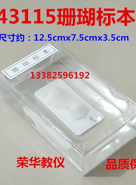 J43115珊瑚标本 小学科学初高中学生物实验器材 教学仪器