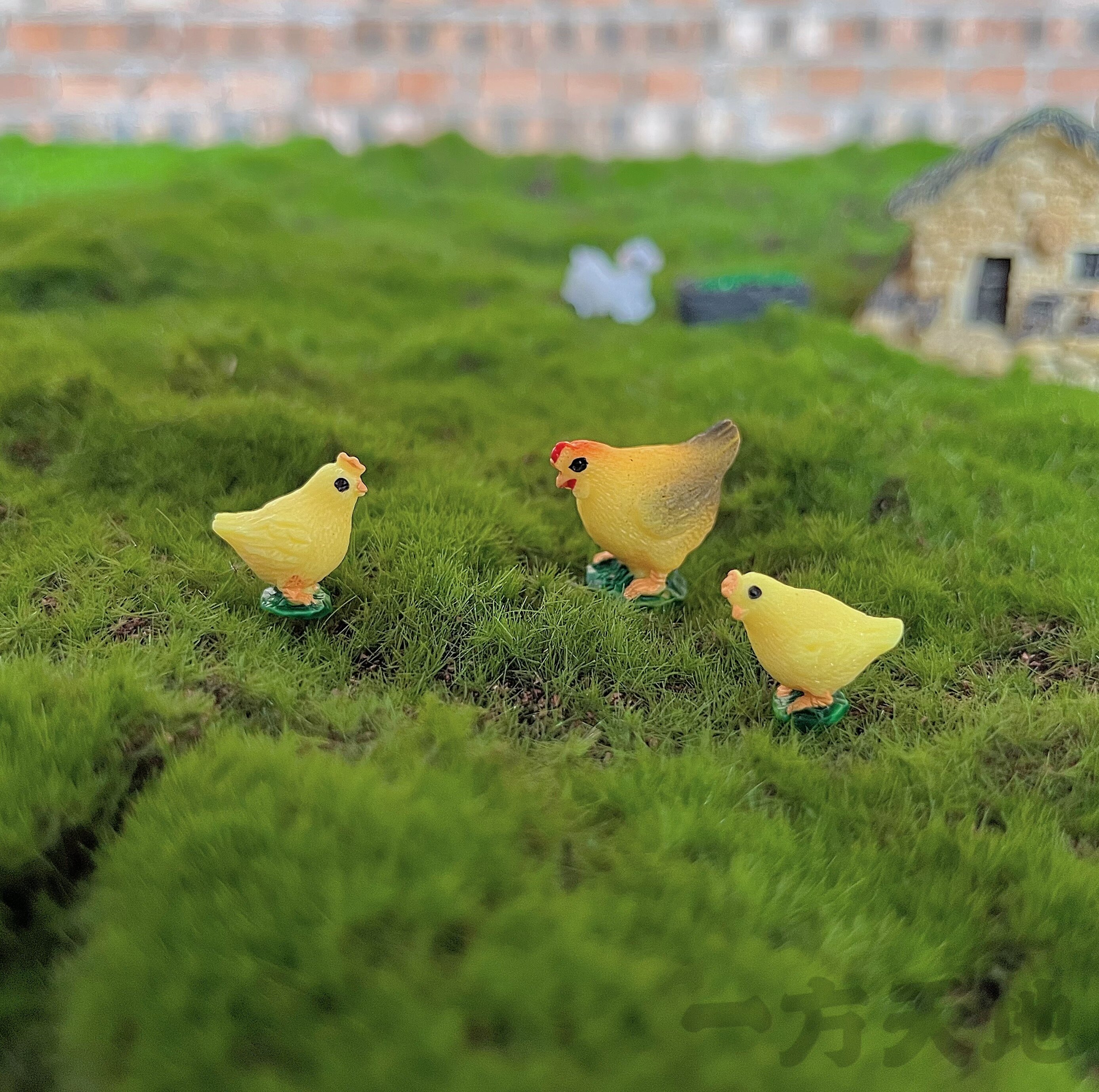 场景模型仿真微缩迷你小鸡 公鸡母鸡 微景沙盘道具造景装饰摆件