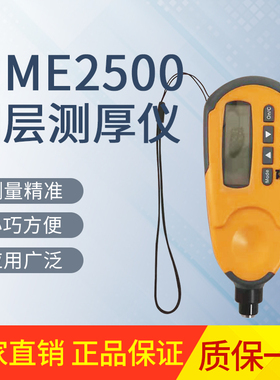北京时代TIME2500涂层测厚仪原装 TT220涂层测厚 铁基覆层测厚仪