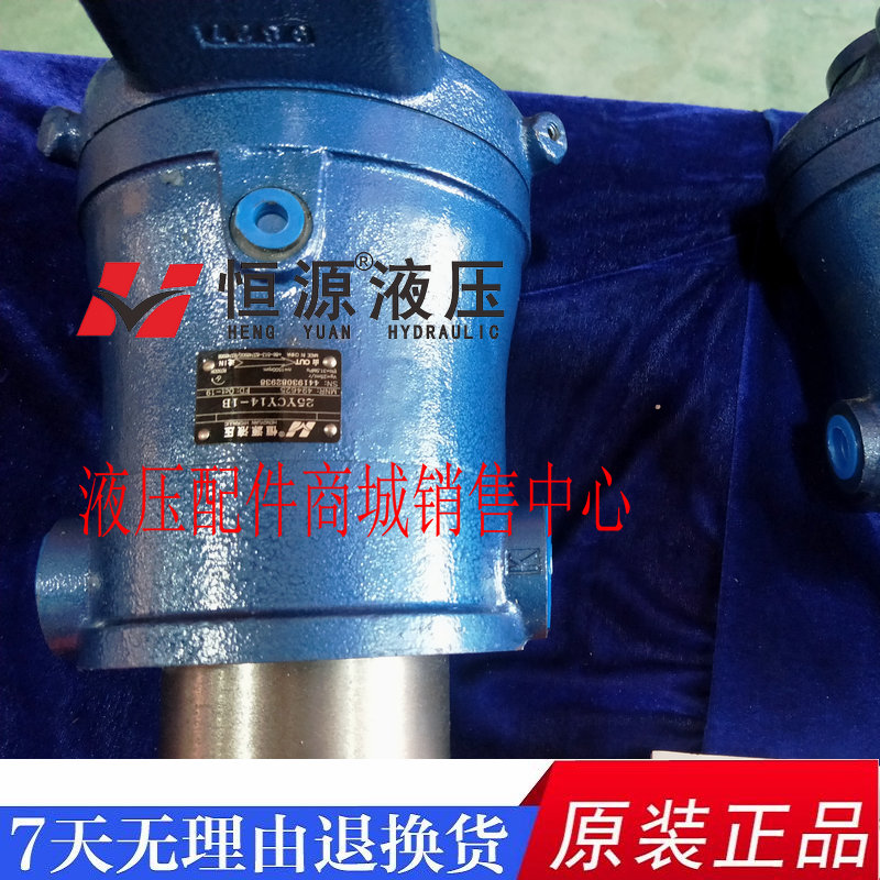 柱塞泵液压轴向江苏恒源