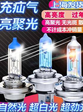 增亮前大灯泡疝气氙卤素