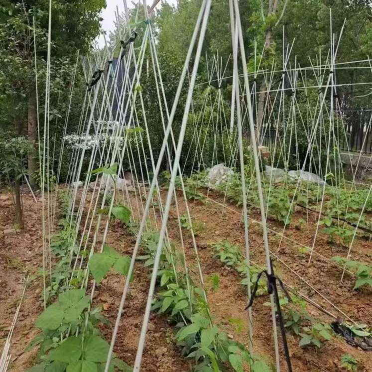 搭棚子支架育苗小拱杆蔬