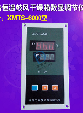 XMTS-6000型 电热恒温鼓风干燥箱仪表 数显调节仪0-300度