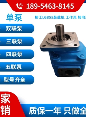 柳工CLG855装载机 工作泵 齿轮泵 3160 862 11C0353 泊姆克齿轮泵