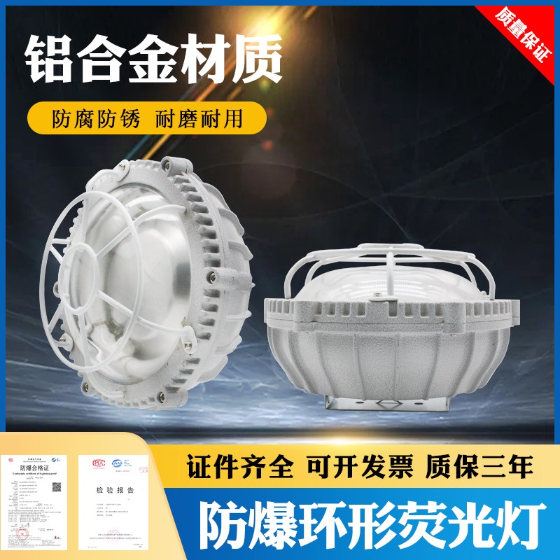 包邮/防爆LED环形荧光灯22W/防爆灯LED12W/防爆BCD-50WLED吸顶灯