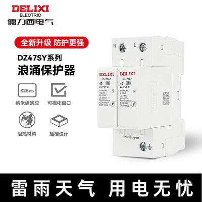 德力西防雷浪涌保护器 避雷器 2P 385V 40KA家用DZ47SY电涌保护器