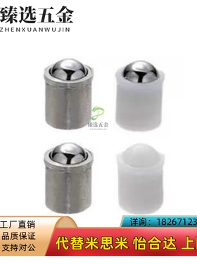 D10球头36柱塞-c/PFZSSN3/4/5/6/8PFPPN12定L位珠AL01/02/21/31/C