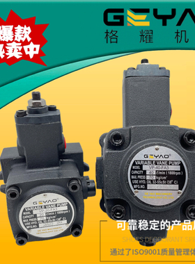 GEYAO格耀液压油泵VP-20H-FA2 XH D 30 15 12 40 FA3变量叶片泵A1