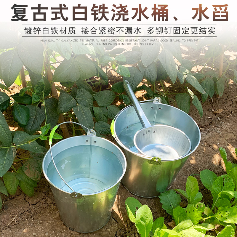 水桶家用镀锌舀园艺浇工
