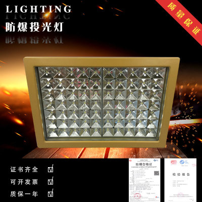 冲钻特价防爆投光灯射照
