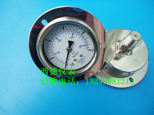 背式带边全不锈钢压力表