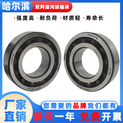 哈尔滨NBRS加厚双列轴承大全4200 4201 4202 4203 4204 4205 4206