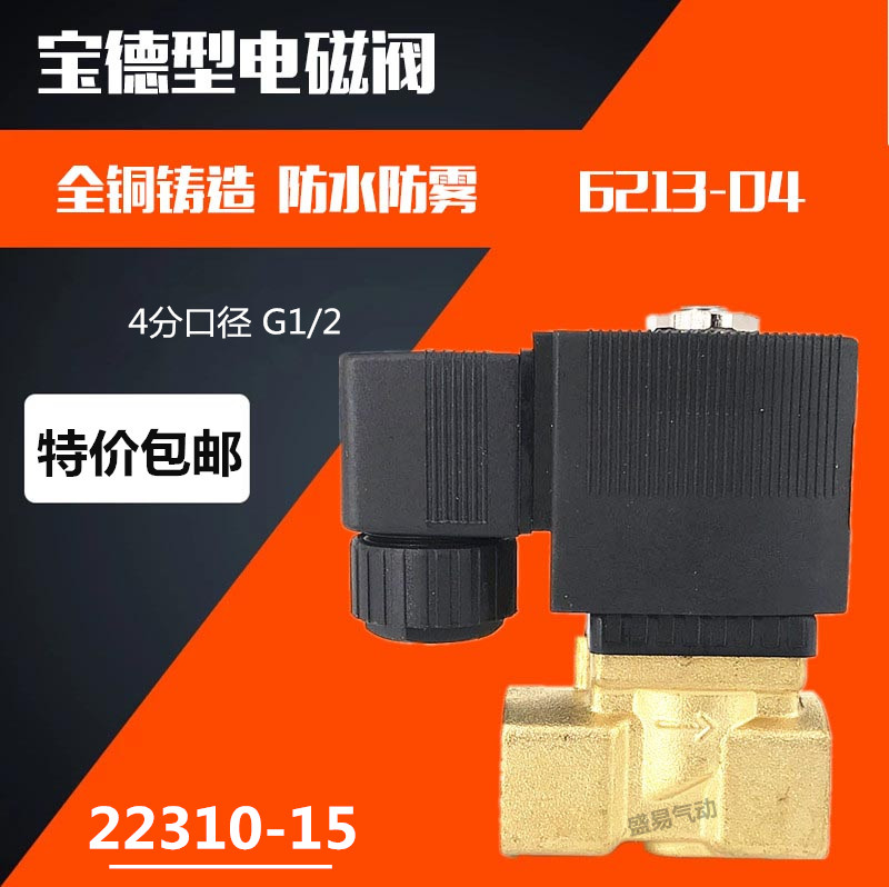 4分宝德电磁阀6213-04水阀气阀油阀22310-15 AC220V DC24V SLGPC