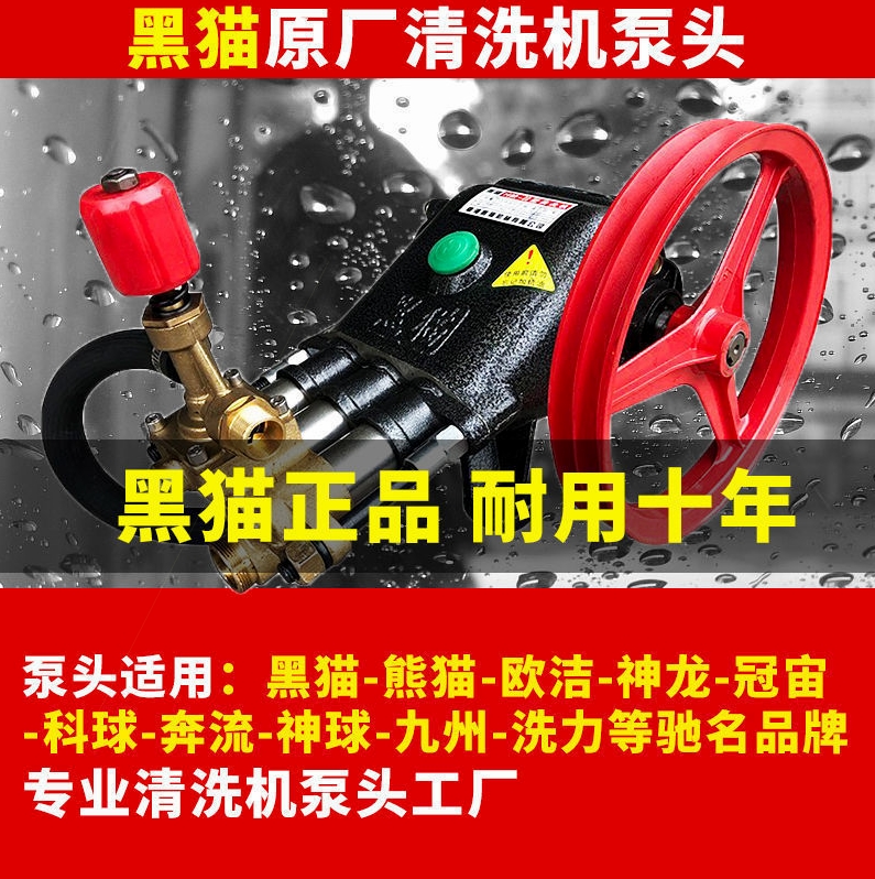 德国进口上海黑猫型商用