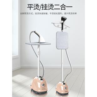 electric compact iron steam soleplate clothes steamer 熨烫机