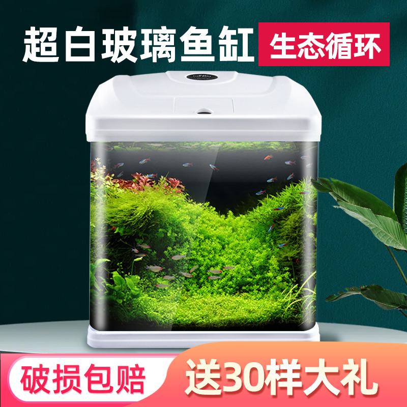 鱼缸客厅小型生态新款金